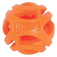 Chuckit! - Dog Toy