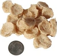 Icelandic+ - Dog Treats