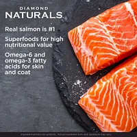 Diamond - Dog Food - Skin & Coat Salmon & Potato
