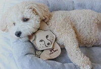 Tall Tails - Dog Toy - Natural Leather & Wool Fox
