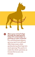 Nylon Dog Harness