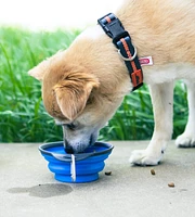 Dexas - Pet Bowl - Blue Travel Bowl