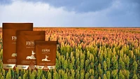 - Dry Dog Food - Ancient Grains Adult