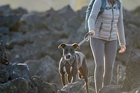 Ruffwear - Front Range Harness - Grey