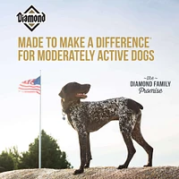 Diamond - Dog Food - Maintenance