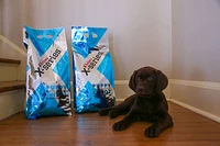 - Dog Food - X-Series Puppy