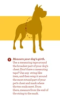 Nylon Dog Harness