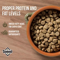 Diamond - Dog Food - Maintenance