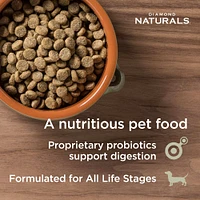 Diamond - Dog Food - Skin & Coat Salmon & Potato