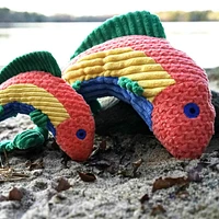 HuggleHounds - Dog Toy - Rauccous Rainbow Trout Knottie