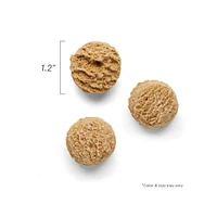 Honest Kitchen - Dog Treat - Pumpkin & Cinnamon Goat's Milk N Cookies