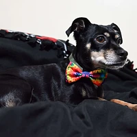 Huxley & Kent - Pet Bow Tie - Woodstock