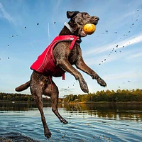 Kurgo - Surf N Turf Dog Life Jacket - High Buoyancy,  Adjustable & Reflective with Dual Handles - Red & Blue