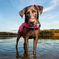Kurgo - Surf N Turf Dog Life Jacket - High Buoyancy,  Adjustable & Reflective with Dual Handles - Red & Blue