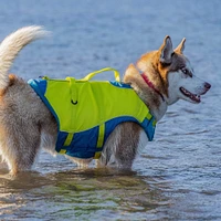 Surf N Turf Dog Life Jacket - High Buoyancy, Adjustable & Reflective with Dual Handles