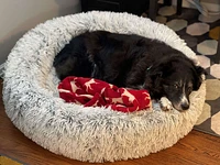 Tall Tails - Shag Dog Bed - Dream Chaser Cuddle Bed