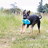 KONG - Dog Toy