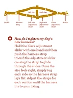 Nylon Dog Harness