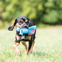 KONG - Dog Toy - Cozie™ Marvin Moose