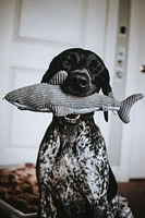 Tall Tails - Dog Toy - Plush Shark Crunch