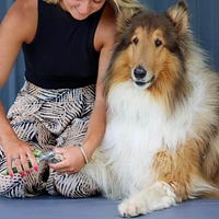 - Dog Nail Clipper - Professional Nail Trimmer