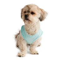 Hotel Doggy - Dog Shirt - Blue Birthday Pup