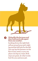 Nylon Dog Harness