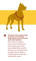 Nylon Dog Harness