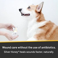 Silver Honey