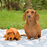 Patchwork - The Weens Plush Dog Toy – Soft & Long Lasting with Removable Pumpkin Hat – Kinda Punny