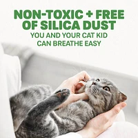 Naturally Fresh - Quick Clumping Walnut Shell Cat Litter - Herbal Attraction Formula - Kittens,  Seniors & Fussy Cats