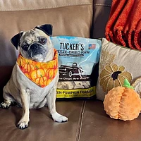 Tucker's - Freeze Dried Dog Food - Chicken & Pumpkin