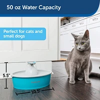 PetSafe - Butterfly Pet Fountain