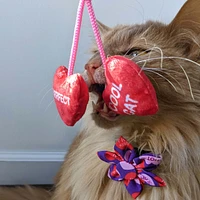 Huxley & Kent - Cat Toy - Heart Strings