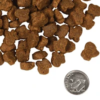 Dry Dog Food