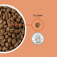 ACANA - High Protein Dry Dog Food - Supports Brain,  Muscle & Bone Development - Puppy Recipe - 25 lbs Bag
