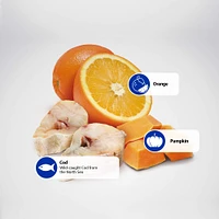Farmina - Dry Dog Food - Cod,  Pumpkin,  & Orange Med/Max Adult