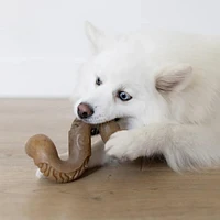 Dog Chew Toy