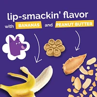 Fruitables - Biggies™ Dog Treat - Bold Flavor with Crunchy Texture & Natural Ingredients
