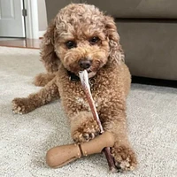 Tall Tails - Bully Stick Holder Chew Dog Toy - Adjustable Clamp & Bacon Scented for Long Lasting Chew Play