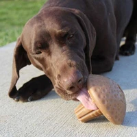 Tall Tails - Shroom Chew Dog Toy - Long Lasting & Bacon Scented with Wobble Action for Interactive Play