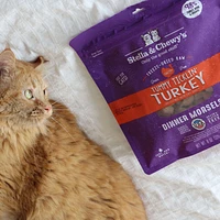 Stella & Chewy's - Cat Food - Freeze-Dried Tummy Ticklin' Turkey