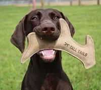 Tall Tails - Dog Toy - Natural Leather Antler Toy