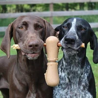 Tall Tails - Bully Stick Holder Chew Dog Toy - Adjustable Clamp & Bacon Scented for Long Lasting Chew Play