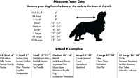 Dog Apparel