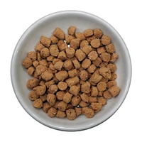 Steve's Real Food - Quest Frozen Cat Food - Raw Nutrition & High Protein