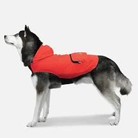 Dog Poncho