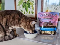 Tucker's - Cat Food - Turkey & Pumpkin
