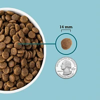 ACANA - High Protein Dry Dog Food - Supports Healthy Digestion & Immune System - Freshwater Fish Blend - 25 lbs Bag