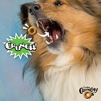 Fromm - Crunchy Os® Dog Treats - Low Calorie Crunchy Snack for Training & Fun - Pumpkin Kran Pow® Flavor